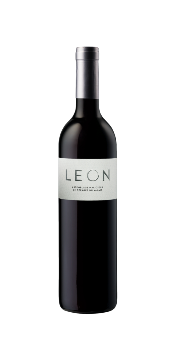 Flasche Assemblabe Malicieux Leon Vin Rouge Merlot Diolinoir Cave Chai du Baron